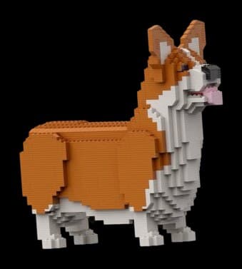 Корги